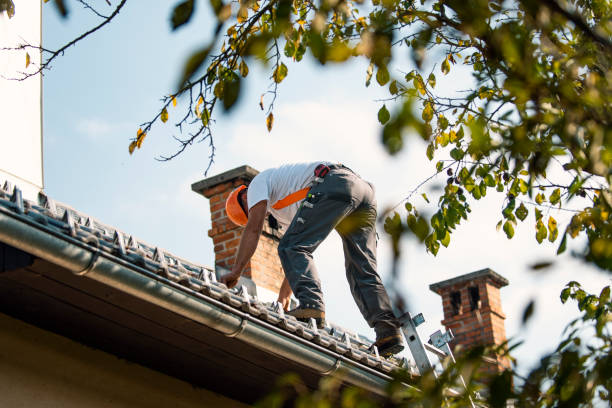 Best Chimney Flashing Repair  in Uvalde, TX