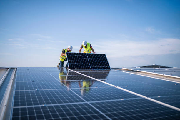 Best Roof Moss and Algae Removal  in Uvalde, TX